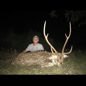 Meet your Posher, George